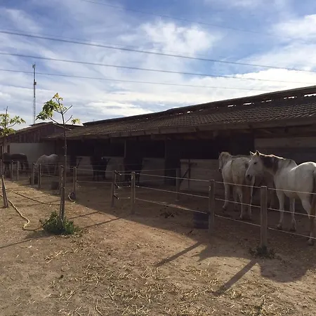 El Rancho Montesinos - Torrevieja Los Montesinos