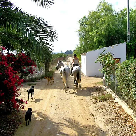 El Rancho Montesinos - Torrevieja Hotel Los Montesinos