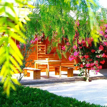 El Rancho Montesinos - Torrevieja