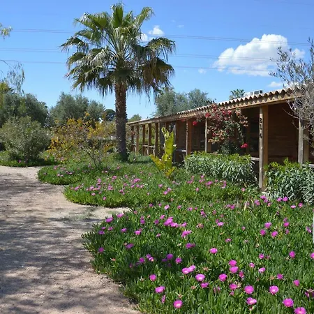 El Rancho Montesinos - Torrevieja Hotel Los Montesinos